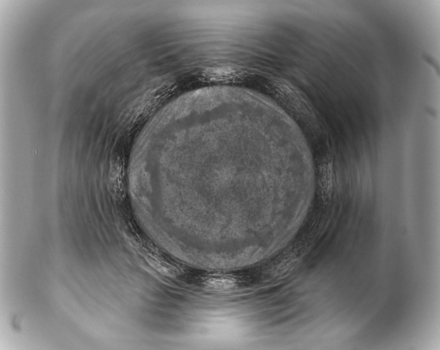 X0000102500653200808291712