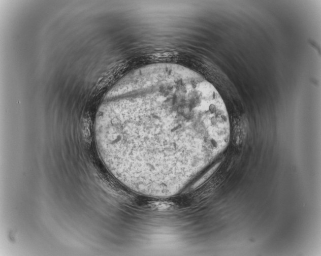 X0000102500654200808291712