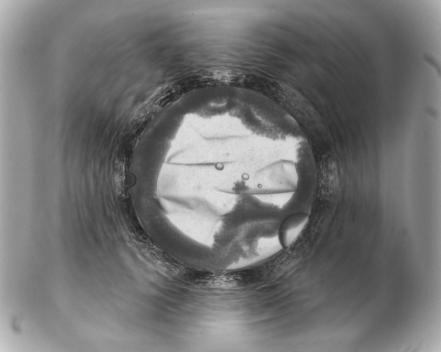 X0000102500656200808291712