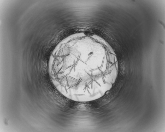 X0000102500657200808291712