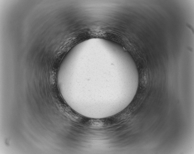 X0000102500658200808291712