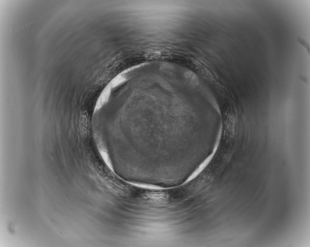 X0000102500659200808291712