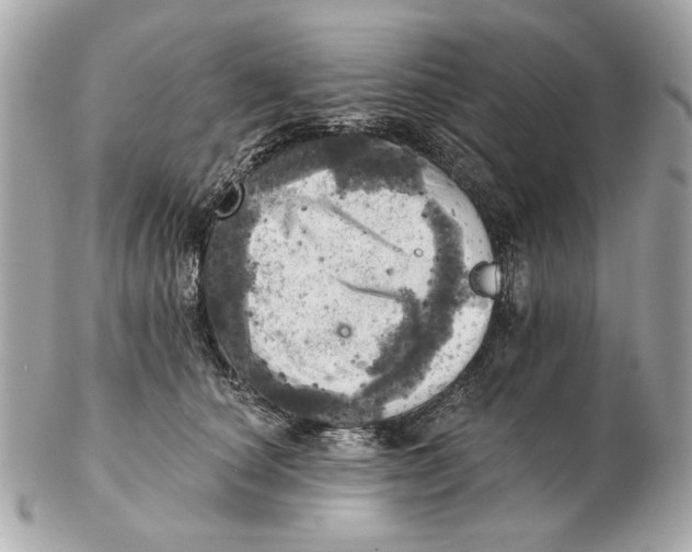 X0000102500660200808291713