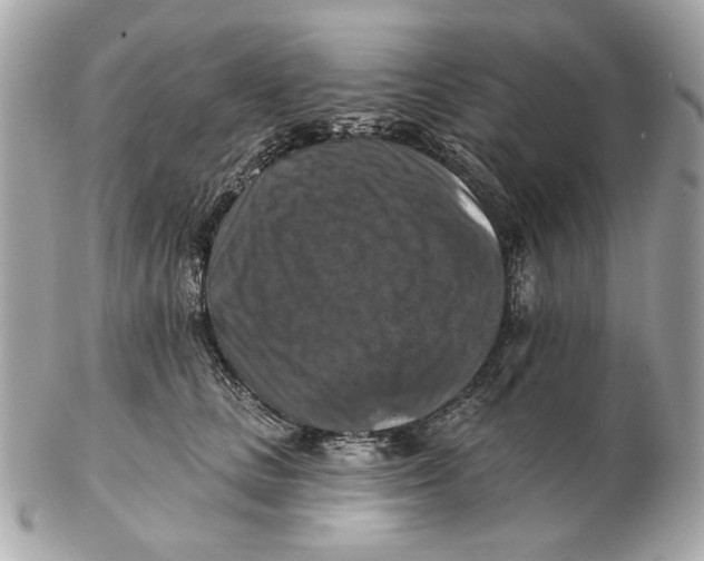 X0000102500661200808291713