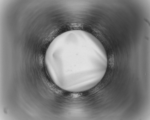 X0000102500662200808291713