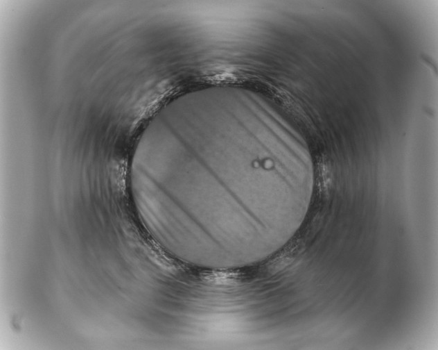 X0000102500664200808291713