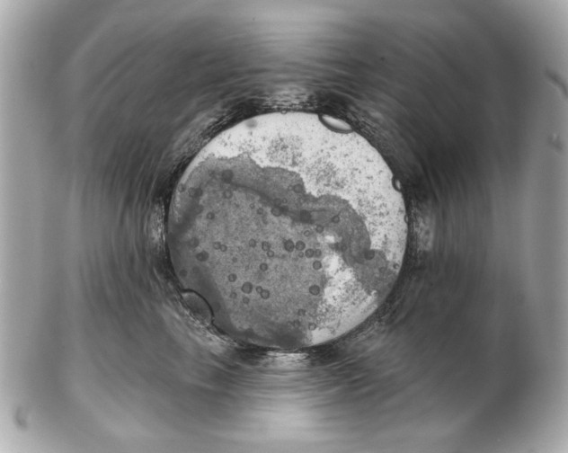 X0000102500665200808291713