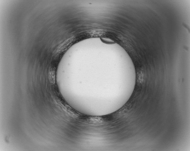 X0000102500666200808291713