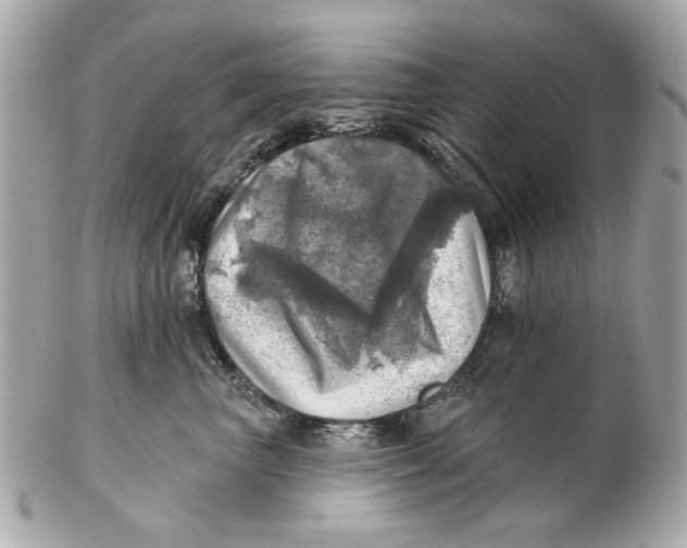 X0000102500667200808291713