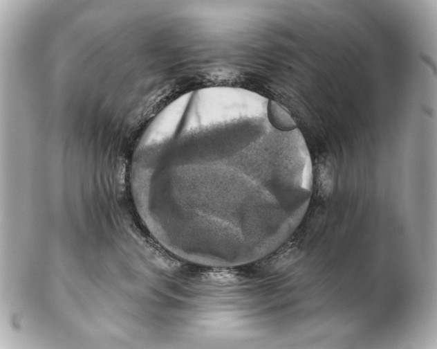 X0000102500668200808291713