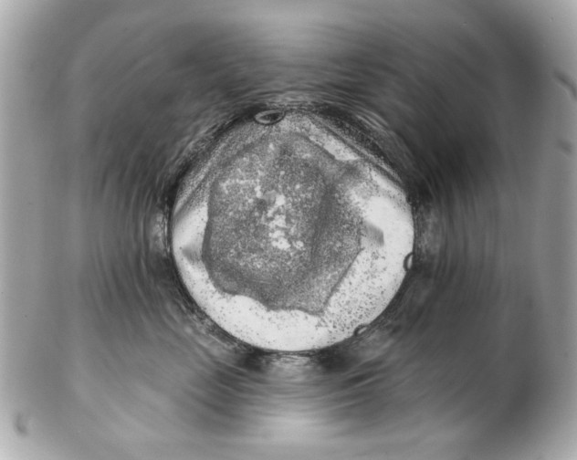 X0000102500669200808291713