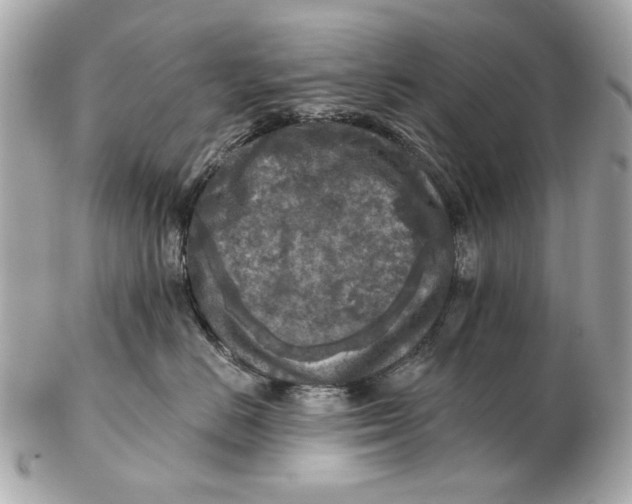 X0000102500670200808291713