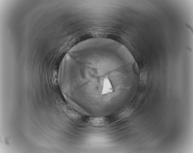 X0000102500671200808291713