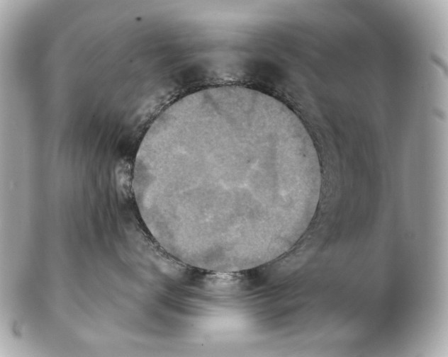 X0000102500672200808291713