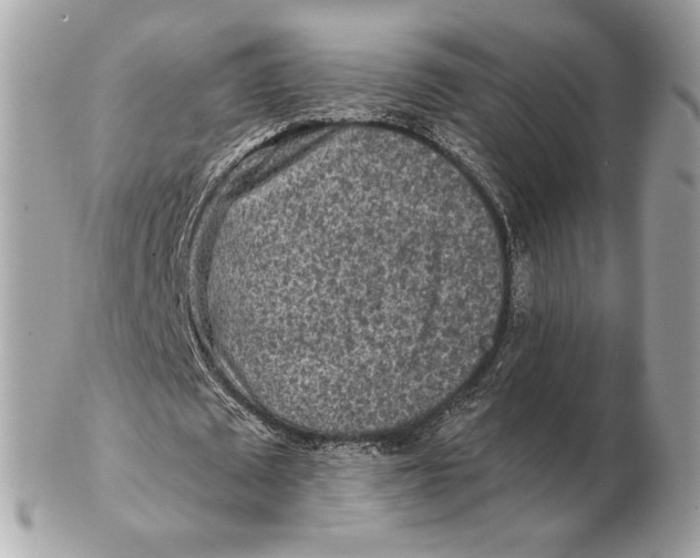 X0000102500673200808291712