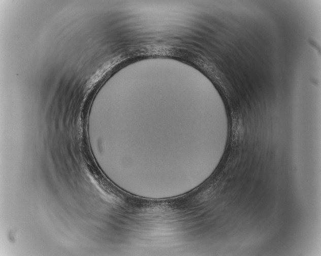 X0000102500674200808291712