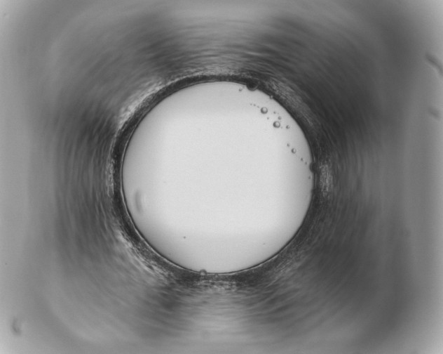 X0000102500676200808291712