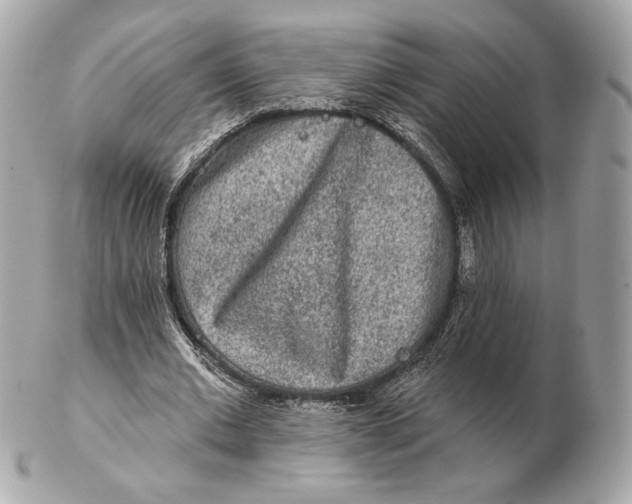 X0000102500677200808291712