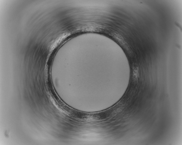 X0000102500678200808291712