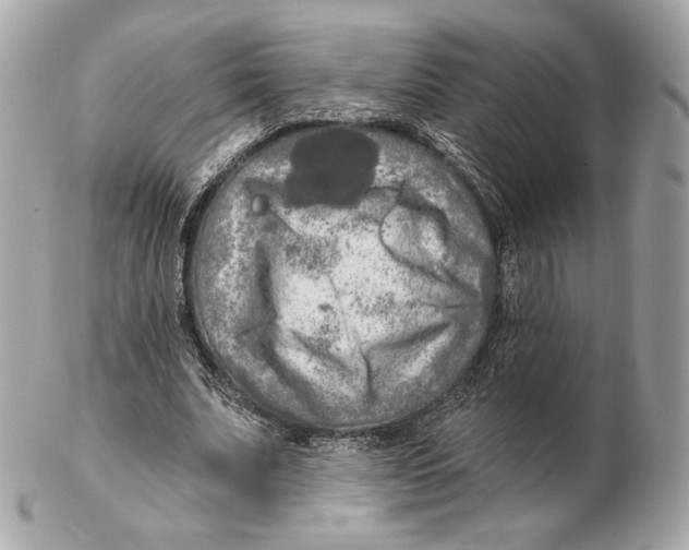 X0000102500679200808291712