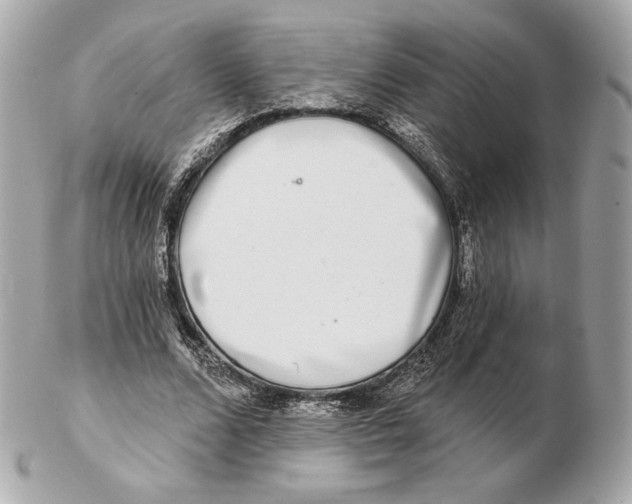 X0000102500680200808291712