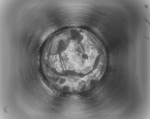 X0000102500683200808291712