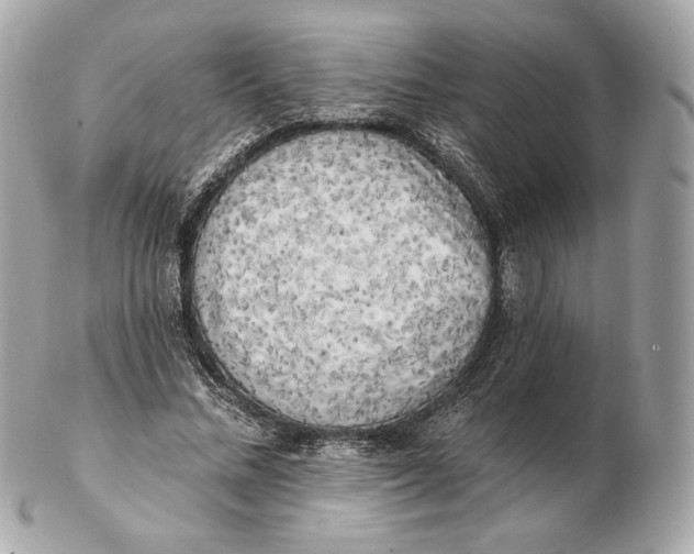 X0000102500684200808291712