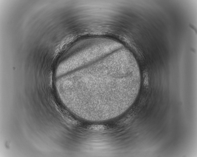 X0000102500685200808291712