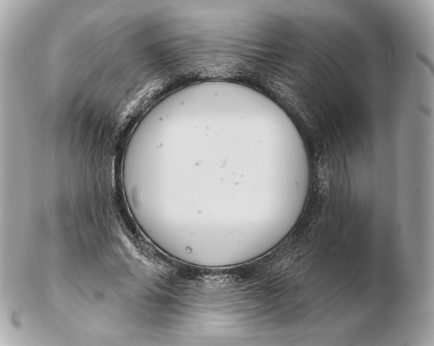 X0000102500686200808291712