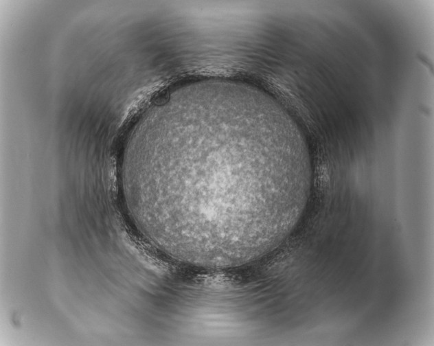 X0000102500688200808291712