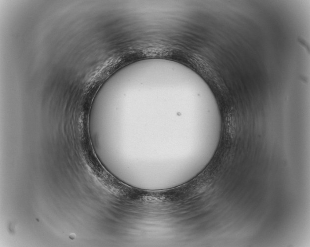 X0000102500690200808291712