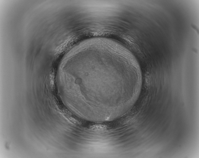 X0000102500691200808291712