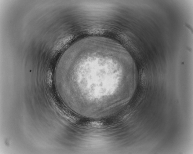 X0000102500692200808291712