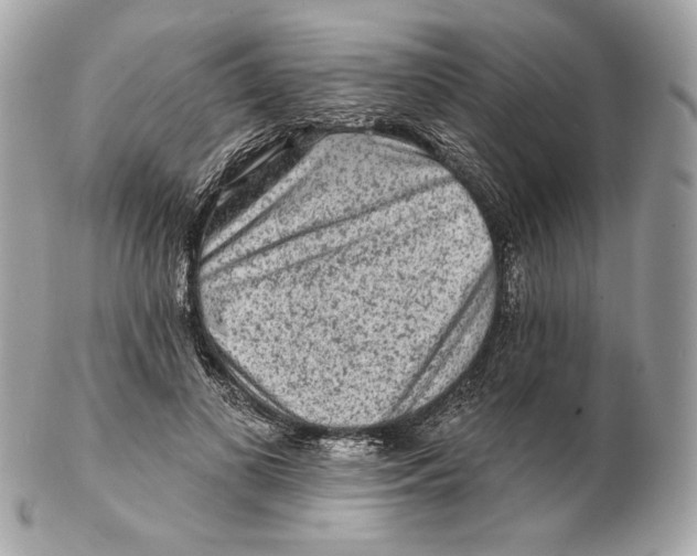 X0000102500693200808291712