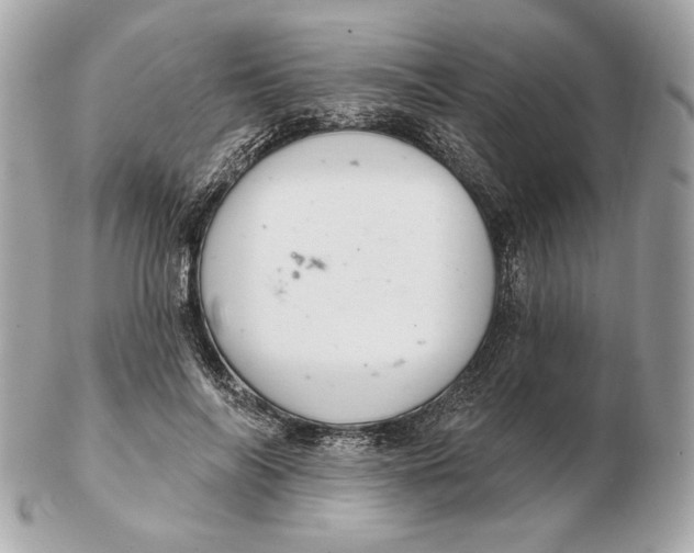 X0000102500694200808291712