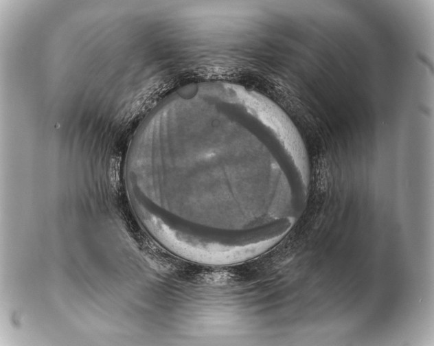 X0000102500695200808291712