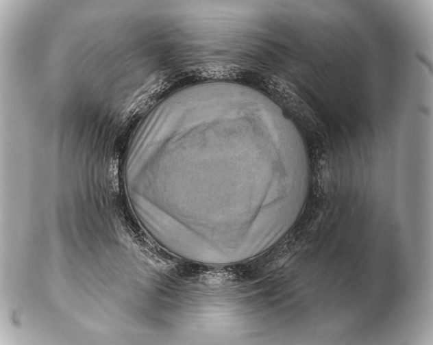 X0000102500696200808291712