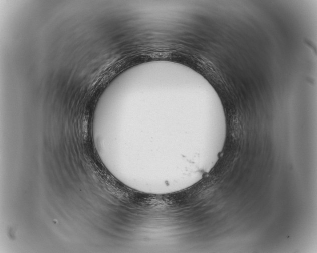 X0000102500697200808291712