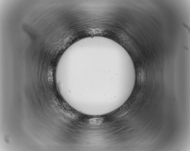 X0000102500700200808291711