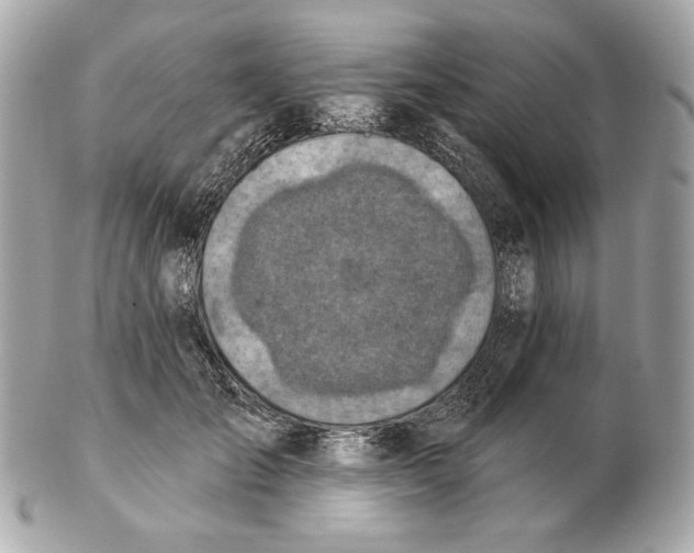 X0000102500701200808291711