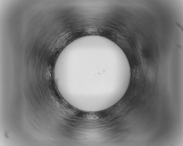 X0000102500702200808291711