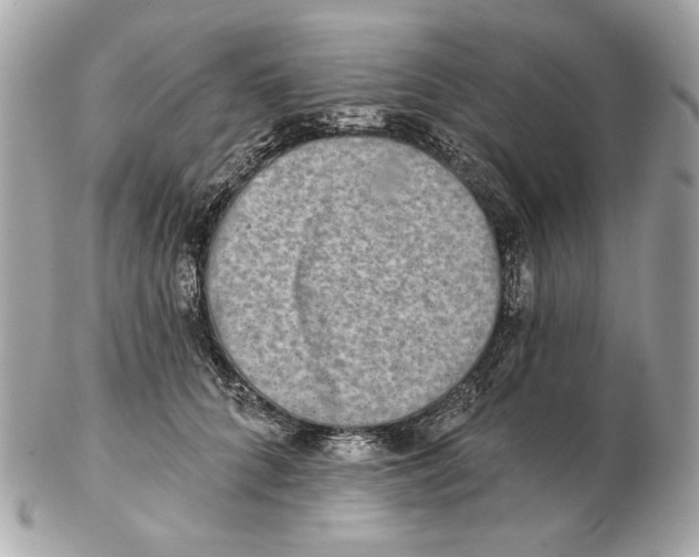 X0000102500704200808291711