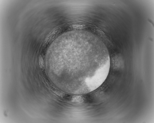 X0000102500705200808291711