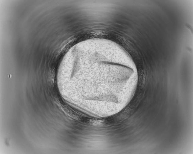 X0000102500710200808291711