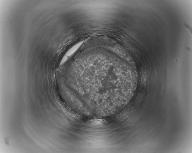 X0000102500711200808291711