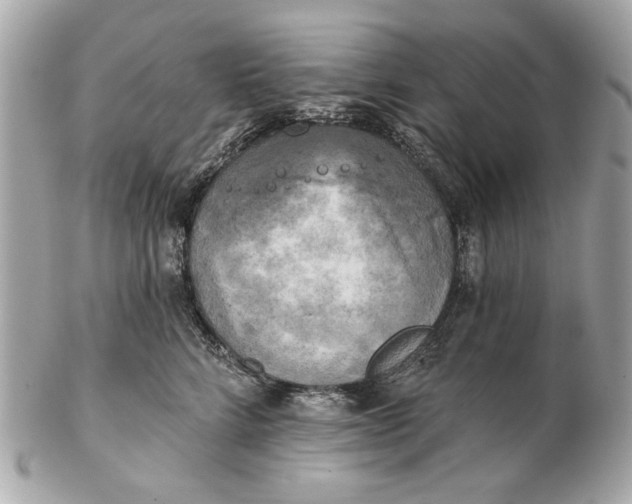 X0000102500712200808291711