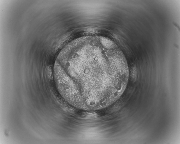 X0000102500715200808291711