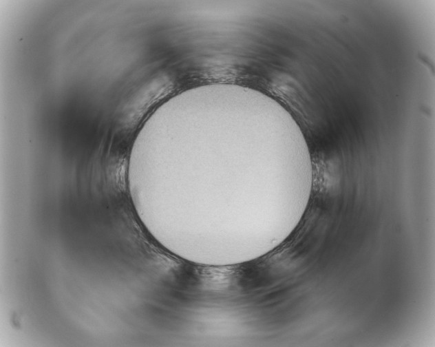 X0000102500717200808291711