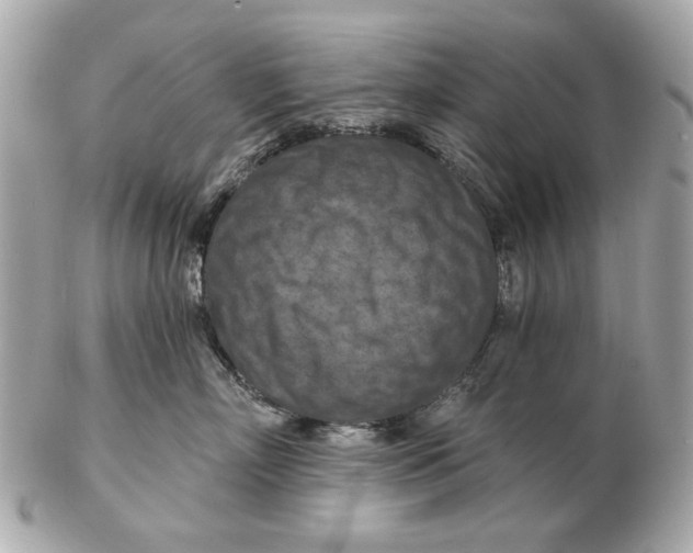 X0000102500718200808291711