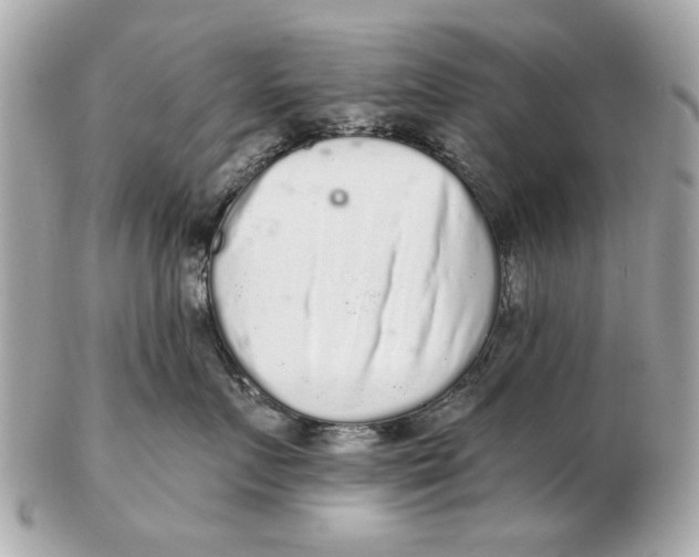 X0000102500719200808291711